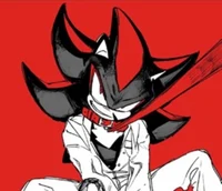 Shadow the hedgehog