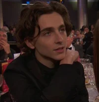 Timothee Chalamet 
