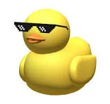 Cool Roblox Duck