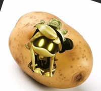 CYN POTATO