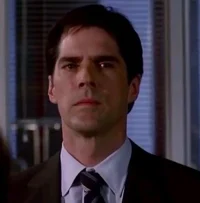Aaron Hotchner