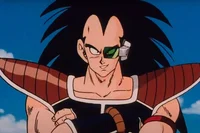 Raditz