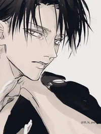Levi ackerman 