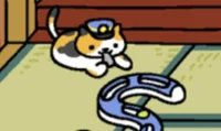 Conducter whiskers