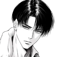 Levi