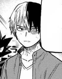 Shoto Todoroki