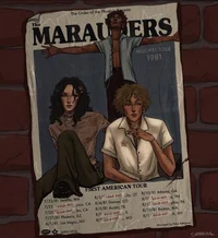The Marauders 