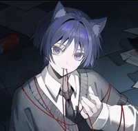 Cat Scara