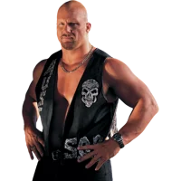 Steve Austin