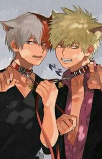 Bakugo and Todoroki