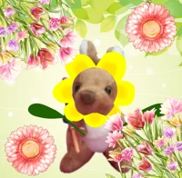 Roo Chan