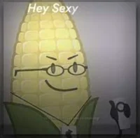 Steve Cobs
