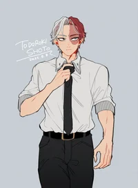 Shoto Todoroki