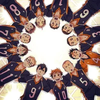 Voleibol Karasuno