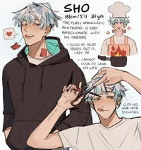 Sho
