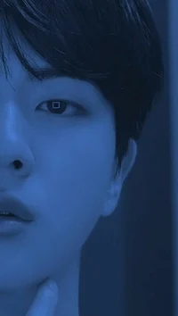 Kim Seokjin 
