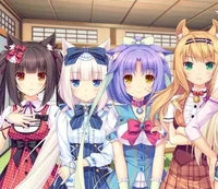Adopted Catgirls