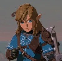 Link - BOTW