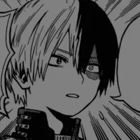 Shoto Todoroki