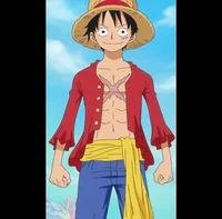 Luffy sick 