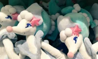 Primaplush Infection