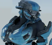 Female Sangheili 