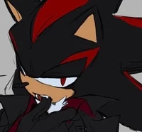 Shadow The Hedgehog