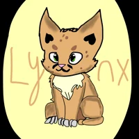 Lynx school rp