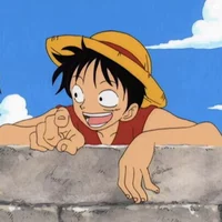 Monkey D Luffy