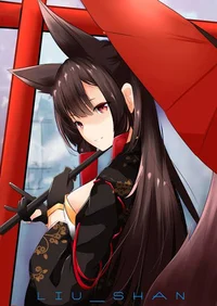 IJN Akagi