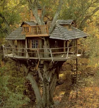 Casa na árvore