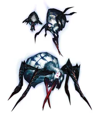 Arachne DMC
