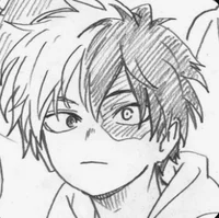 Shoto Todoroki