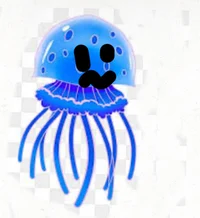 Jellyfish