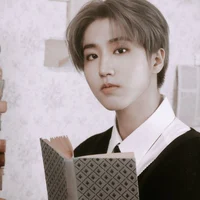 Han Jison
