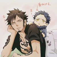 Law