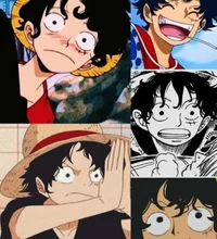 Mha x Luffy
