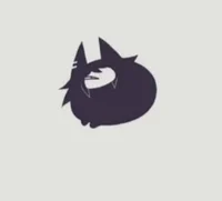 Cat miss circle