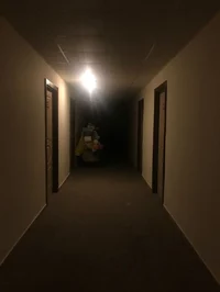 The infinite hallway
