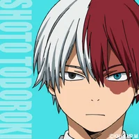 MHA - Shoto Todoroki