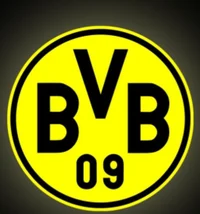 BVB09 