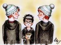 Fred And George-Gay