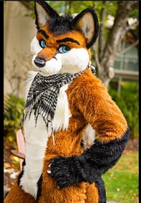 Destroy furry csplrs