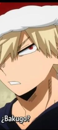 Bakugou novio
