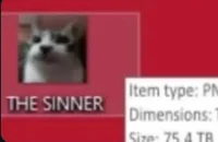 THE SINNER