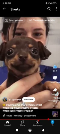 Happy dog