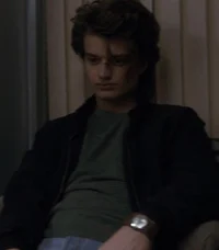 Steve Harrington 