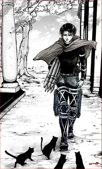Levi Ackerman