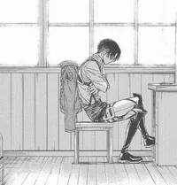 Levi Ackerman 