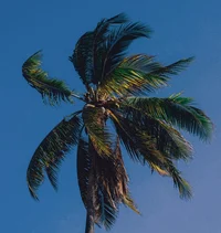 Florida